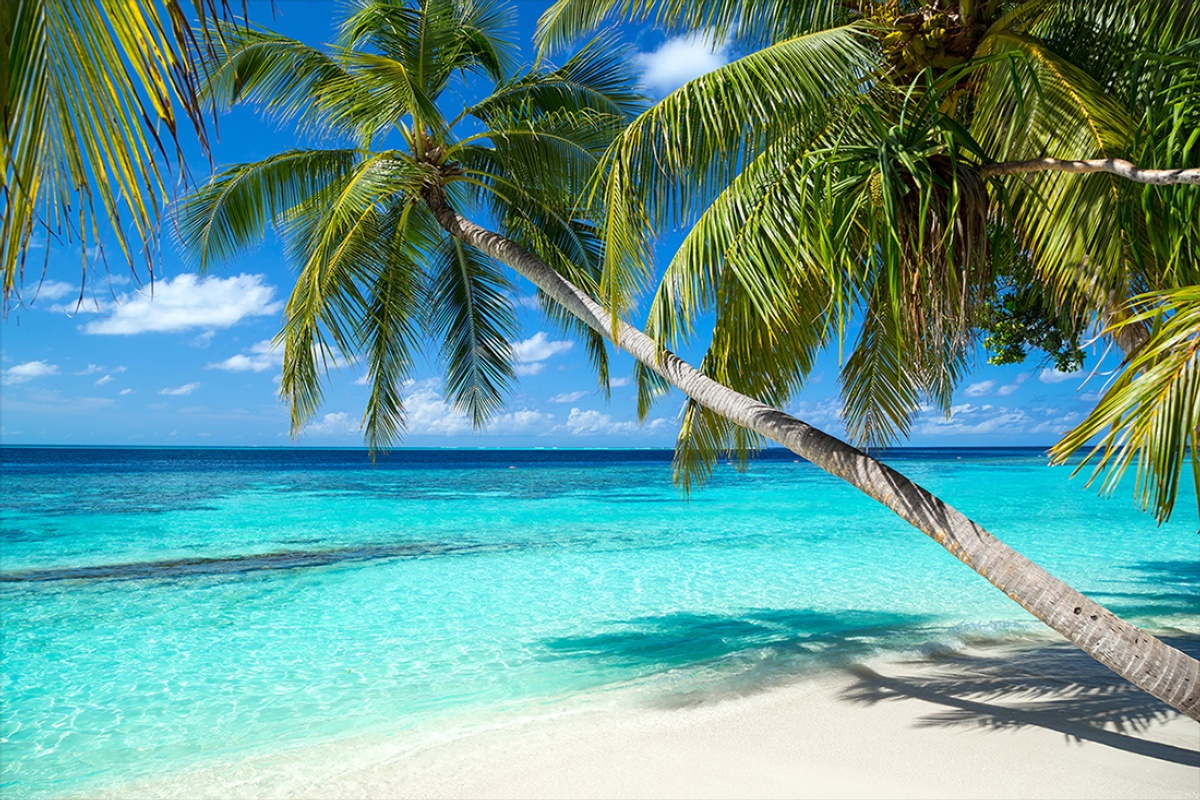 Casa de Campo Resort & Villas in the Dominican Republic.