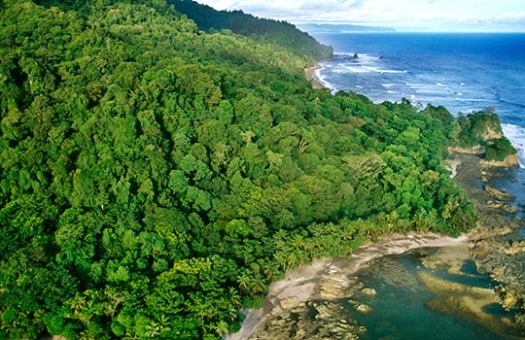 Aerial view of Corcovado National Park in Costa Rica.