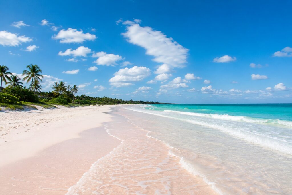Walk on pink sand in the Bahamas.