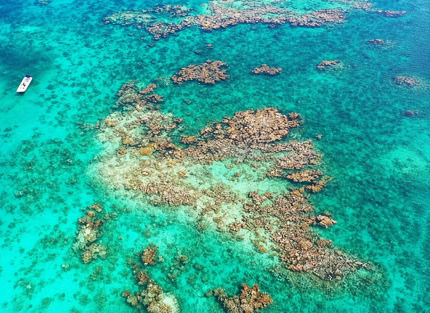 The Andros Barrier Reef in the Bahamas is the third-largest barrier reef system in the world.