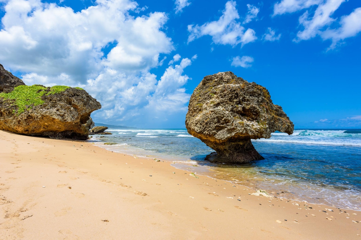 Bathsheba Beach, famously nicknamed The Soup Bowl due to the rough Atlantic waves, on the east coast of Barbados featuring a large the iconic mushroom rock shaped by erosion.