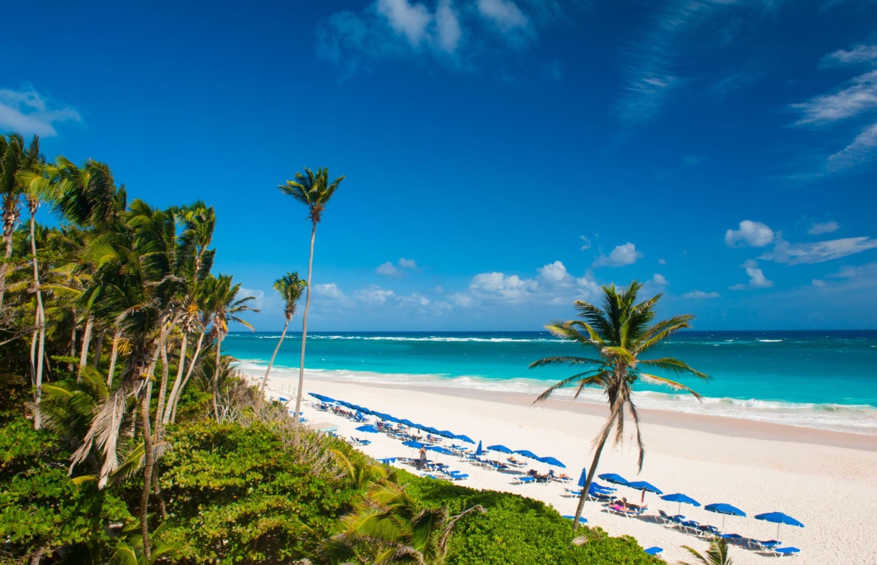 Crane Beach in Barbados is known for its towering cliffs, a grove of palm trees and powdery sand beach featuring rows of blue umbrellas and lounge chairs.