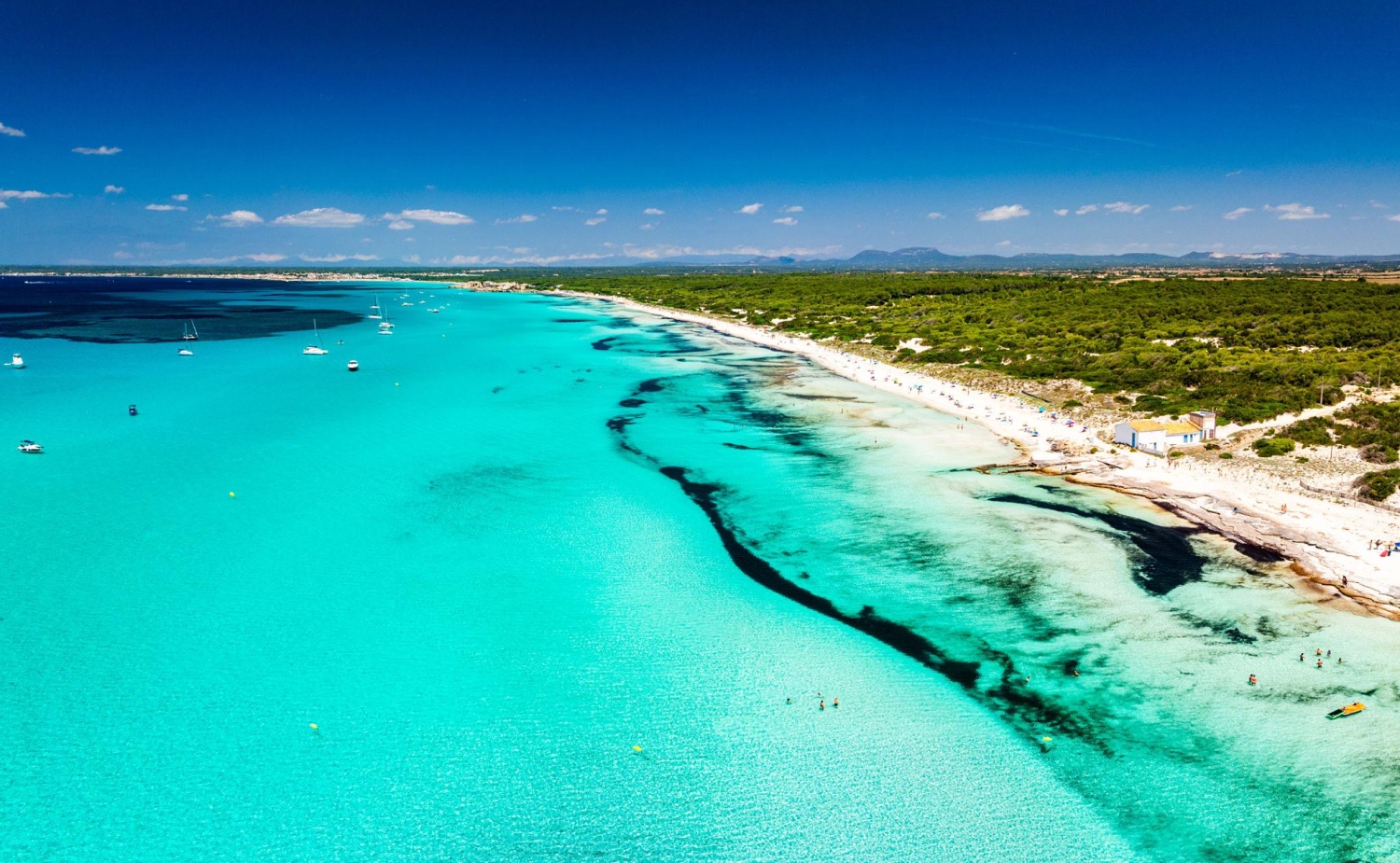 Es Trenc Beach in Mallorca, Spain is known for its shallow, crystal-clear turquoise waters and white sand dunes.