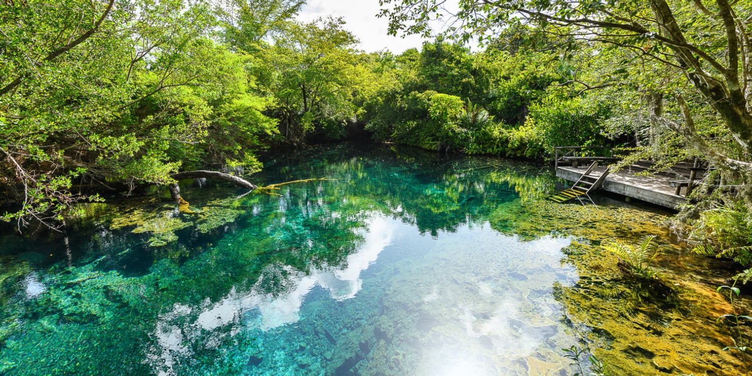 Indigenous Eyes Ecological Reserve located in Punta Cana, Dominican Republic is a 1500 acre private reserve featuring 12 freshwater lagoons, nature trails, wildlife encounters and a petting zoo.