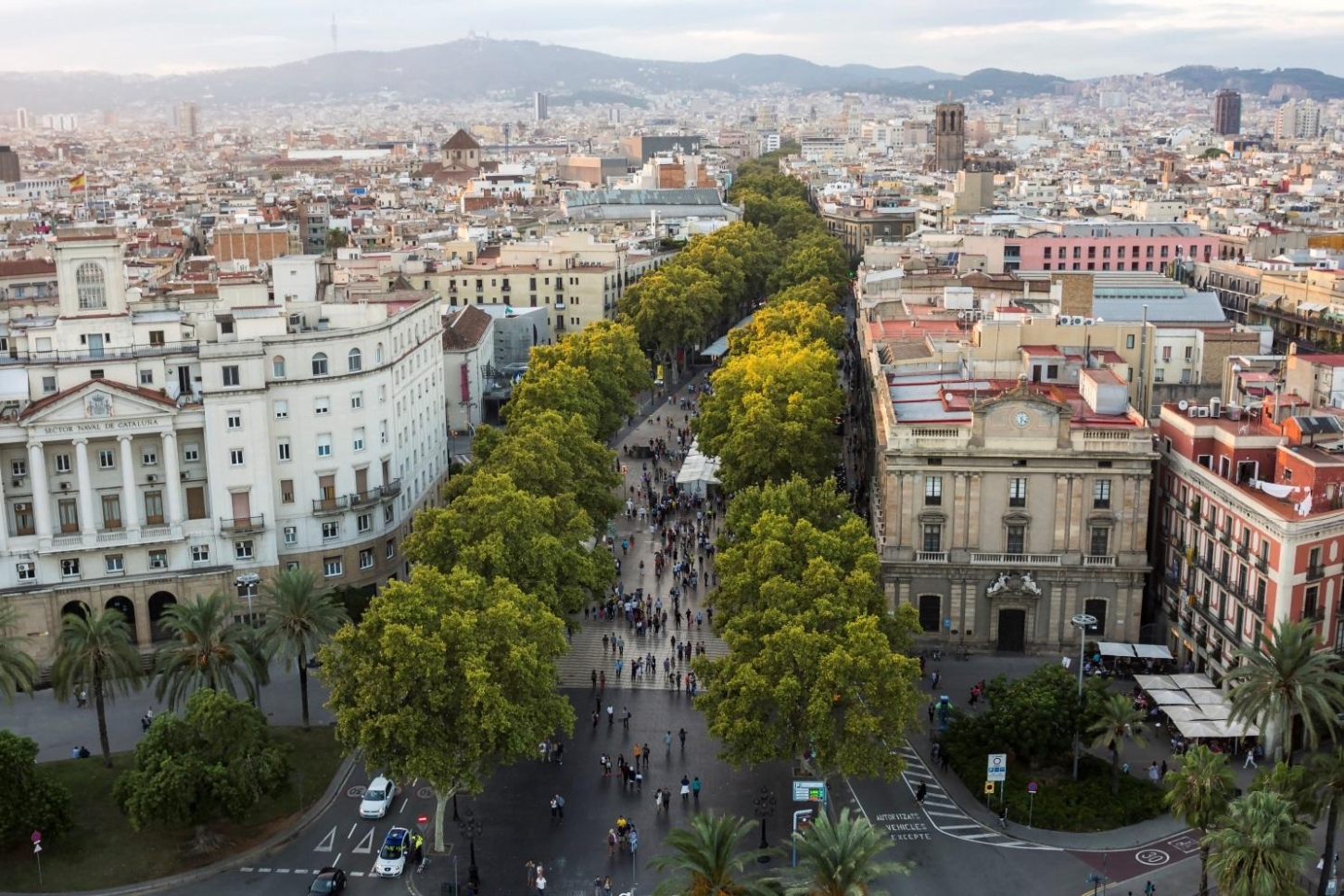 La Rambla in Barcelona is famous for its lush, green trees lining the central pedestrian promenade lined with dozens of attractions, restaurants and shops.