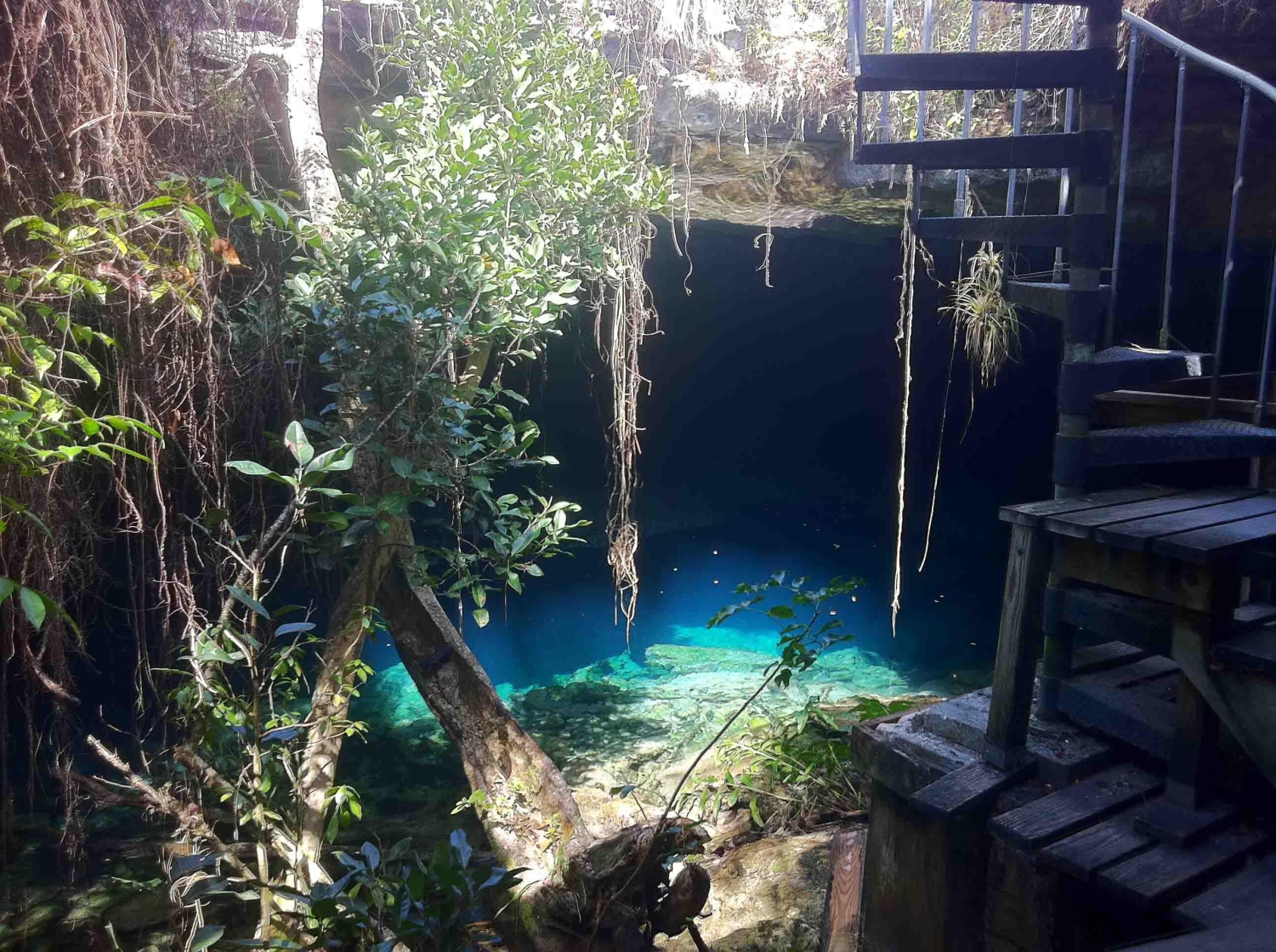 The entrance to Ben's Cave, located within Lucayan National Park on Grand Bahama Island.