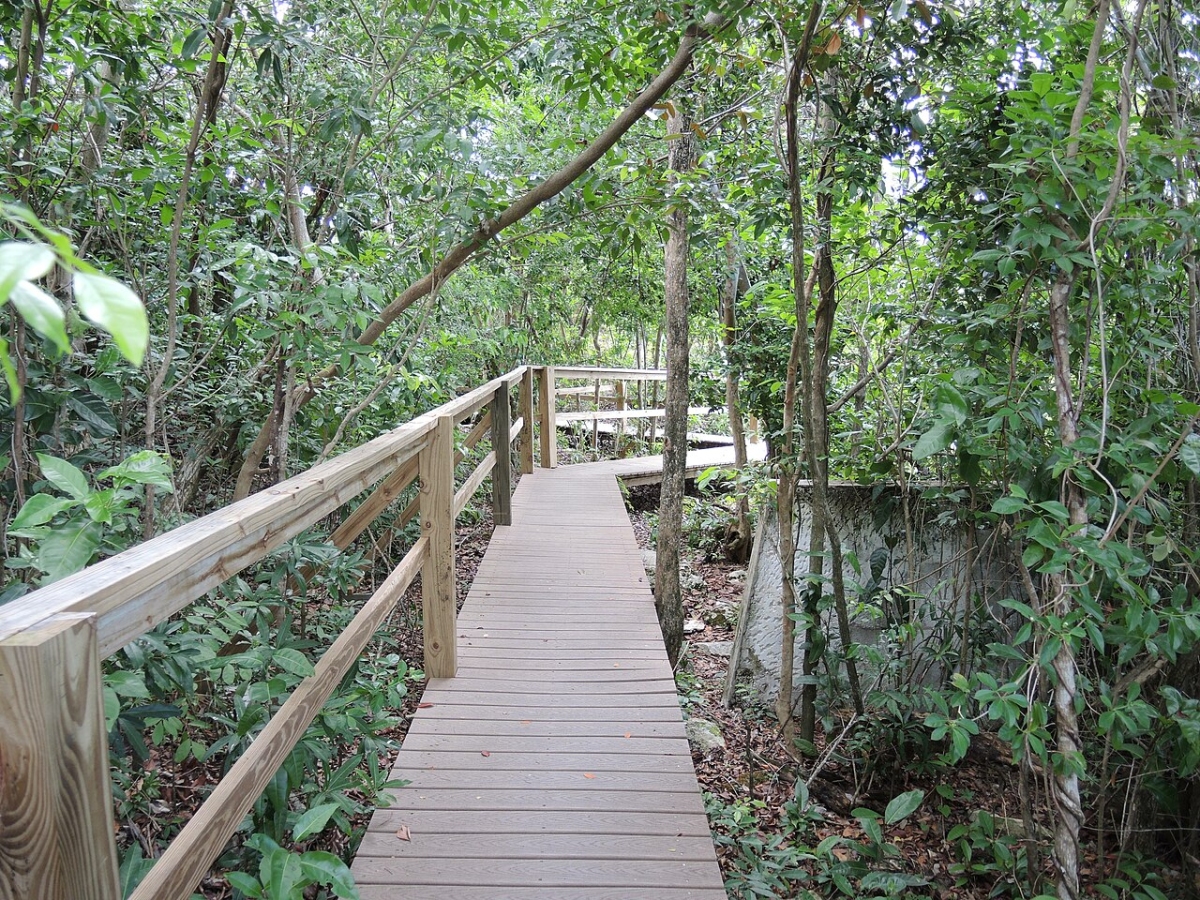 Lucayan National Park, located on Grand Bahama Island, park offers travelers a chance to explore a side of the Bahamas that goes far beyond luxury resorts and busy beaches.
