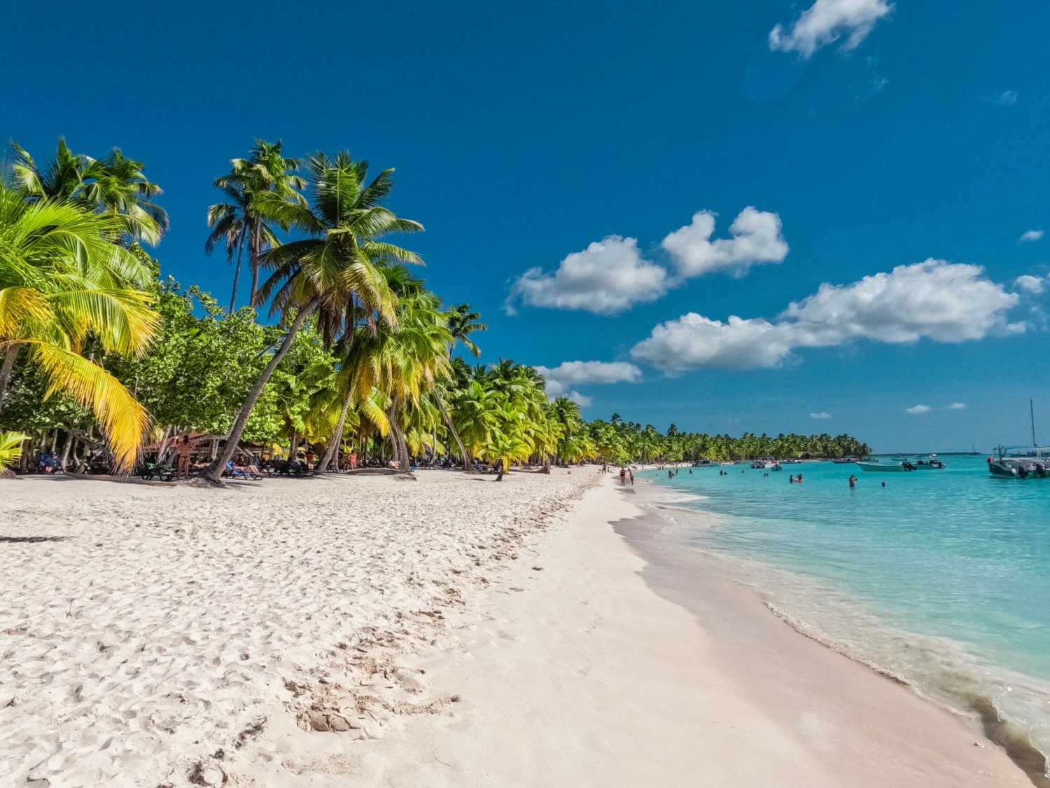A popular tourist destination frequently visited via boat tours from nearby areas like Bayahibe or Punta Cana, Saona Island in the Dominican Republic is known for its white sand beaches, turquoise water and lush palm groves.