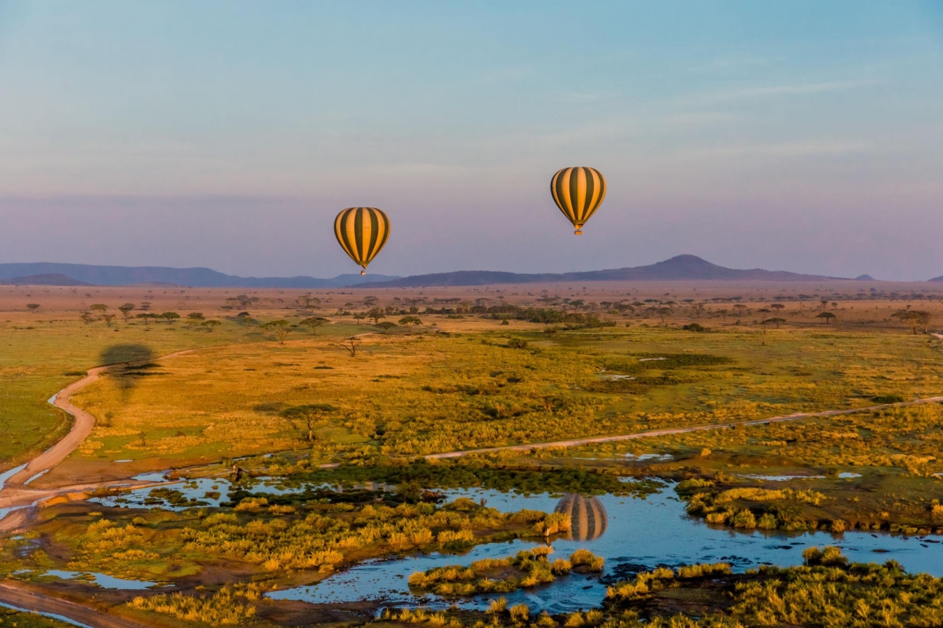Hot air balloons floating above Serengeti National Park in Tanzania.